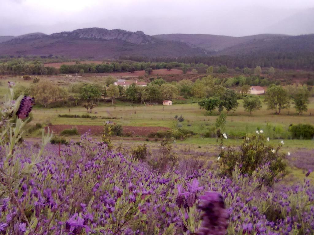 Las Lucias, Experiencias De Ecoturismo Navatrasierra Exteriör bild